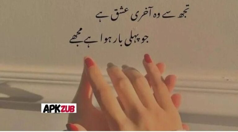 Love Shayari Urdu