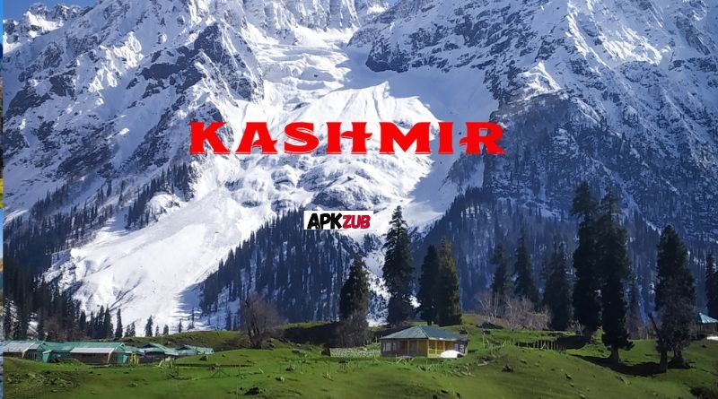 https://apkzub.pk/kashmir-day-poetry/