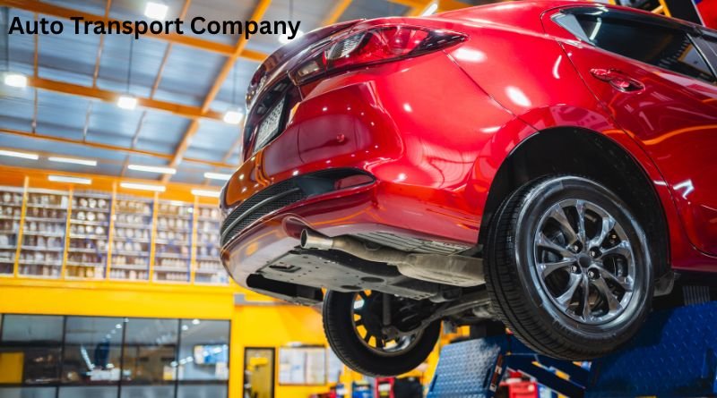 Auto Transport Company