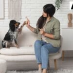 Dog Training With Positive Reinforcement and What Recent Studies Say About Welfare