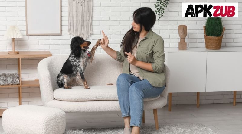 Dog Training With Positive Reinforcement and What Recent Studies Say About Welfare